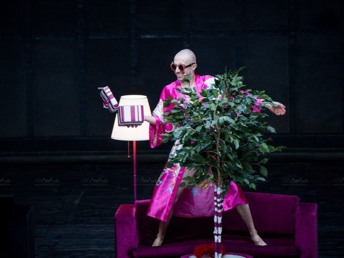 Festivalul national de Teatru 2017